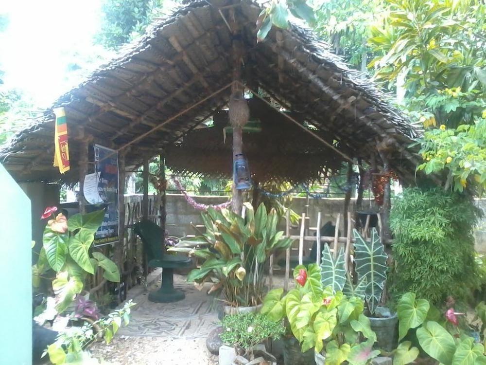 Hotel Himasha Guest Mirissa Exterior foto